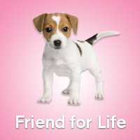 freinds for life 